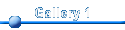 Gallery 1